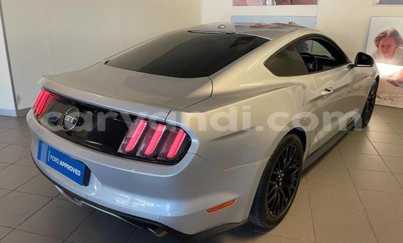 Buy Used Ford Mustang Silver Car in Chipata in Zambia Buy Used Ford Mustang Silver Car in Chipata in Zambia