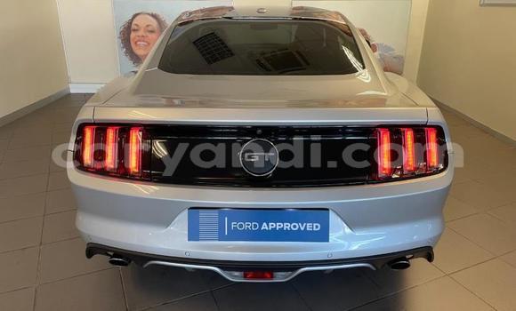 Buy Used Ford Mustang Silver Car in Chipata in Zambia Buy Used Ford Mustang Silver Car in Chipata in Zambia