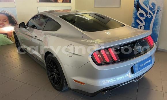 Buy Used Ford Mustang Silver Car in Chipata in Zambia Buy Used Ford Mustang Silver Car in Chipata in Zambia