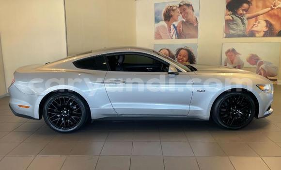Buy Used Ford Mustang Silver Car in Chipata in Zambia Buy Used Ford Mustang Silver Car in Chipata in Zambia