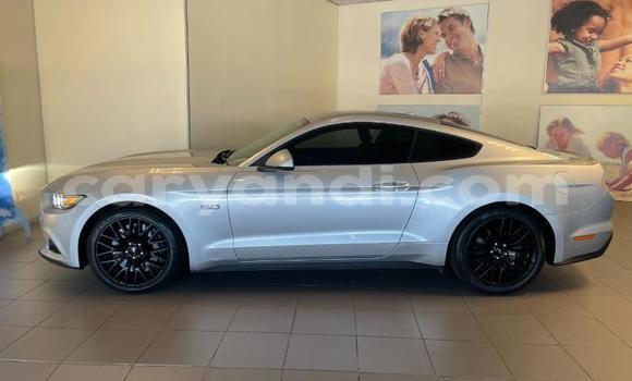 Buy Used Ford Mustang Silver Car in Chipata in Zambia Buy Used Ford Mustang Silver Car in Chipata in Zambia