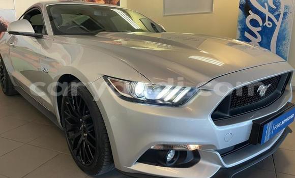 Buy Used Ford Mustang Silver Car in Chipata in Zambia Buy Used Ford Mustang Silver Car in Chipata in Zambia