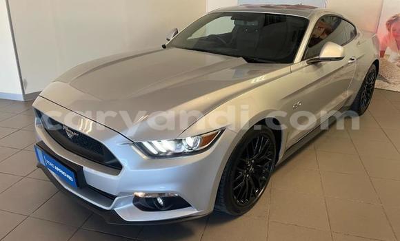 Buy Used Ford Mustang Silver Car in Chipata in Zambia Buy Used Ford Mustang Silver Car in Chipata in Zambia