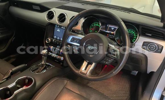Buy Used Ford Mustang Silver Car in Chipata in Zambia Buy Used Ford Mustang Silver Car in Chipata in Zambia