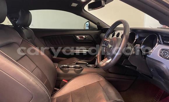 Buy Used Ford Mustang Silver Car in Chipata in Zambia Buy Used Ford Mustang Silver Car in Chipata in Zambia