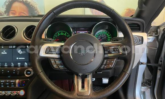 Buy Used Ford Mustang Silver Car in Chipata in Zambia Buy Used Ford Mustang Silver Car in Chipata in Zambia