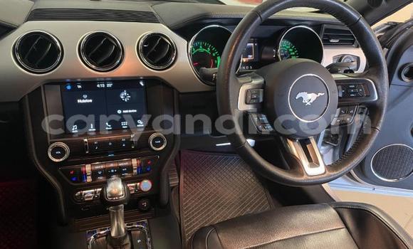 Buy Used Ford Mustang Silver Car in Chipata in Zambia Buy Used Ford Mustang Silver Car in Chipata in Zambia