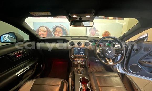 Buy Used Ford Mustang Silver Car in Chipata in Zambia Buy Used Ford Mustang Silver Car in Chipata in Zambia