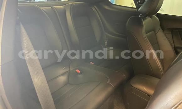 Buy Used Ford Mustang Silver Car in Chipata in Zambia Buy Used Ford Mustang Silver Car in Chipata in Zambia