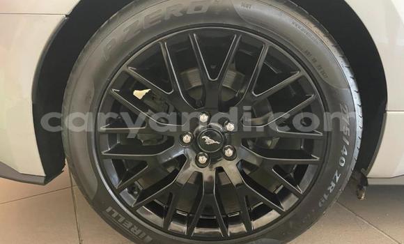 Buy Used Ford Mustang Silver Car in Chipata in Zambia Buy Used Ford Mustang Silver Car in Chipata in Zambia