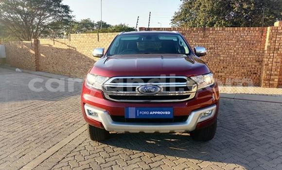 Buy Used Ford Everest Red Car in Chipata in Zambia Buy Used Ford Everest Red Car in Chipata in Zambia