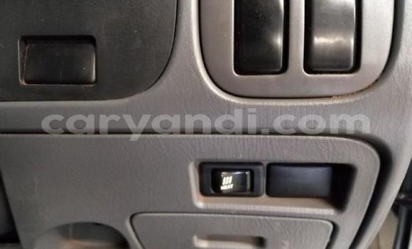 Buy Used Nissan NP 300 White Car in Chipata in Zambia Buy Used Nissan NP 300 White Car in Chipata in Zambia