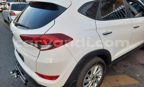 Nunua Ilio tumika Hyundai Tucson Nyeupe Gari ndani ya Chilanga nchini Lusaka Nunua Ilio tumika Hyundai Tucson Nyeupe Gari ndani ya Chilanga nchini Lusaka