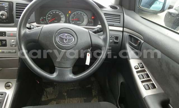 Tenga Tsaru Toyota Runx Bhuruu Mota in Lusaka in Zambia Tenga Tsaru Toyota Runx Bhuruu Mota in Lusaka in Zambia