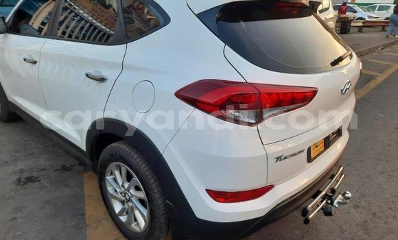 Nunua Ilio tumika Hyundai Tucson Nyeupe Gari ndani ya Chilanga nchini Lusaka Nunua Ilio tumika Hyundai Tucson Nyeupe Gari ndani ya Chilanga nchini Lusaka