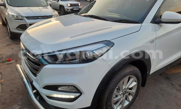 Nunua Ilio tumika Hyundai Tucson Nyeupe Gari ndani ya Chilanga nchini Lusaka Nunua Ilio tumika Hyundai Tucson Nyeupe Gari ndani ya Chilanga nchini Lusaka