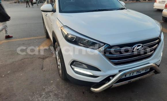 Nunua Ilio tumika Hyundai Tucson Nyeupe Gari ndani ya Chilanga nchini Lusaka Nunua Ilio tumika Hyundai Tucson Nyeupe Gari ndani ya Chilanga nchini Lusaka