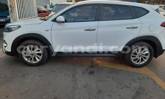 Nunua Ilio tumika Hyundai Tucson Nyeupe Gari ndani ya Chilanga nchini Lusaka Nunua Ilio tumika Hyundai Tucson Nyeupe Gari ndani ya Chilanga nchini Lusaka