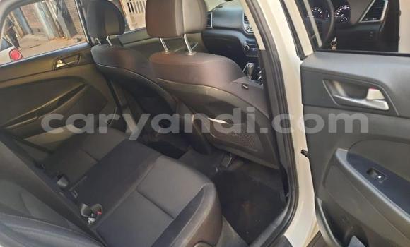 Nunua Ilio tumika Hyundai Tucson Nyeupe Gari ndani ya Chilanga nchini Lusaka Nunua Ilio tumika Hyundai Tucson Nyeupe Gari ndani ya Chilanga nchini Lusaka