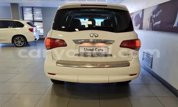 Buy Used Infiniti QX80 White Car in Mansa in Luapala Buy Used Infiniti QX80 White Car in Mansa in Luapala
