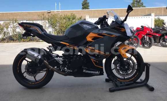Buy Used Kawasaki Ninja Black Bike in Chingola in Zambia