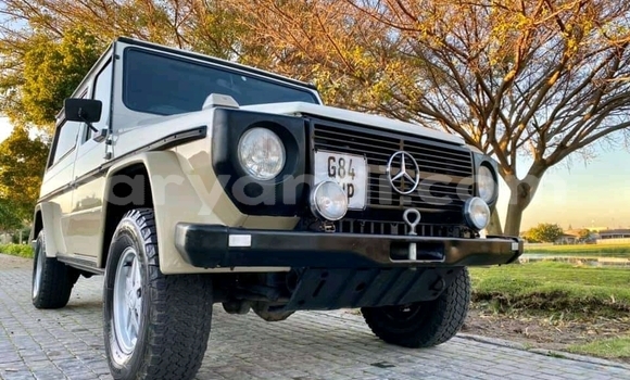 Nunua Ilio tumika Mercedes‒Benz 290 Nyingine Gari ndani ya Livingstone nchini Zambia Nunua Ilio tumika Mercedes‒Benz 290 Nyingine Gari ndani ya Livingstone nchini Zambia