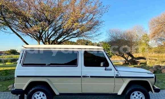 Buy Used Mercedes‒Benz 290 Other Car in Livingstone in Zambia Buy Used Mercedes‒Benz 290 Other Car in Livingstone in Zambia