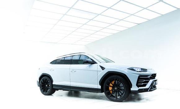 Buy Used Lamborghini Urus White Car in Lusaka in Zambia