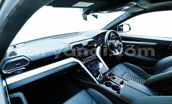 Buy Used Lamborghini Urus White Car in Lusaka in Zambia Buy Used Lamborghini Urus White Car in Lusaka in Zambia