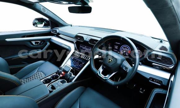 Buy Used Lamborghini Urus White Car in Lusaka in Zambia Buy Used Lamborghini Urus White Car in Lusaka in Zambia