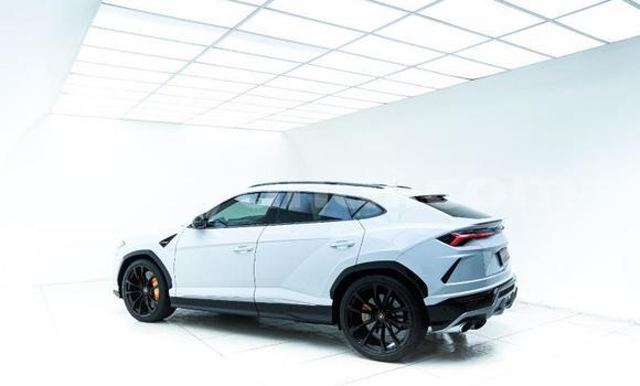 Buy Used Lamborghini Urus White Car in Lusaka in Zambia Buy Used Lamborghini Urus White Car in Lusaka in Zambia