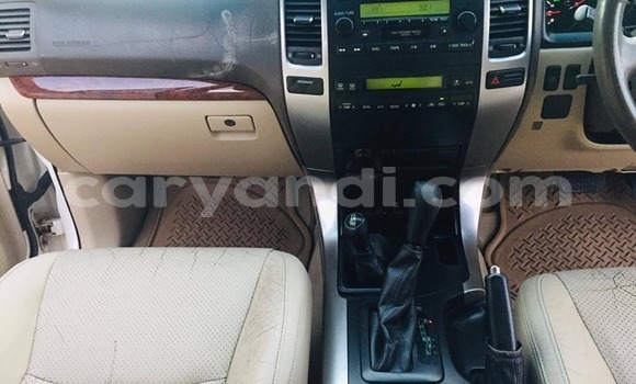 Tenga Tsaru Toyota Land Cruiser Prado Chena Mota in Livingstone in Zambia Tenga Tsaru Toyota Land Cruiser Prado Chena Mota in Livingstone in Zambia