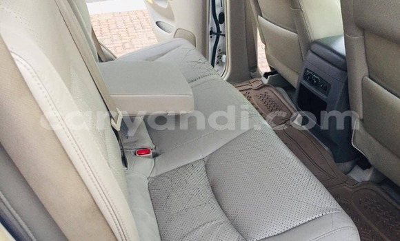 Tenga Tsaru Toyota Land Cruiser Prado Chena Mota in Livingstone in Zambia Tenga Tsaru Toyota Land Cruiser Prado Chena Mota in Livingstone in Zambia