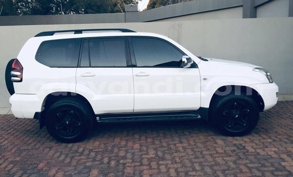 Tenga Tsaru Toyota Land Cruiser Prado Chena Mota in Livingstone in Zambia Tenga Tsaru Toyota Land Cruiser Prado Chena Mota in Livingstone in Zambia