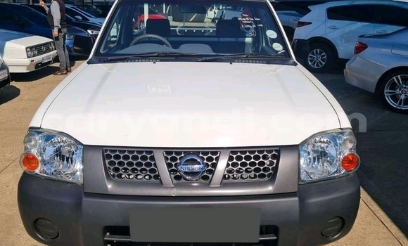 Buy Used Nissan Hardbody White Car in Ndola in Zambia
