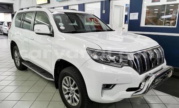 Acheter Occasion Voiture Toyota Land Cruiser Prado Blanc à Chingola, Zambie