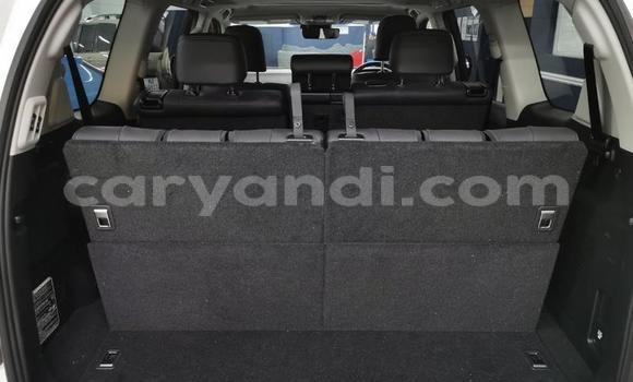 Tenga Tsaru Toyota Land Cruiser Prado Chena Mota in Chingola in Zambia Tenga Tsaru Toyota Land Cruiser Prado Chena Mota in Chingola in Zambia