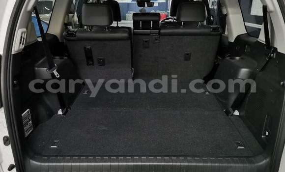 Tenga Tsaru Toyota Land Cruiser Prado Chena Mota in Chingola in Zambia Tenga Tsaru Toyota Land Cruiser Prado Chena Mota in Chingola in Zambia