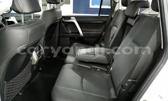 Tenga Tsaru Toyota Land Cruiser Prado Chena Mota in Chingola in Zambia Tenga Tsaru Toyota Land Cruiser Prado Chena Mota in Chingola in Zambia