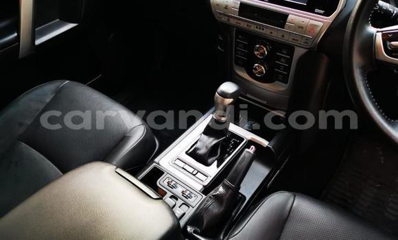 Tenga Tsaru Toyota Land Cruiser Prado Chena Mota in Livingstone in Zambia Tenga Tsaru Toyota Land Cruiser Prado Chena Mota in Livingstone in Zambia