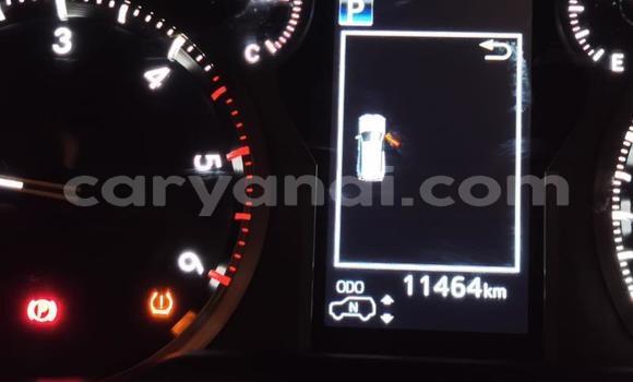 Tenga Tsaru Toyota Land Cruiser Prado Chena Mota in Livingstone in Zambia Tenga Tsaru Toyota Land Cruiser Prado Chena Mota in Livingstone in Zambia