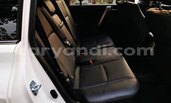 Tenga Tsaru Toyota Land Cruiser Prado Chena Mota in Livingstone in Zambia Tenga Tsaru Toyota Land Cruiser Prado Chena Mota in Livingstone in Zambia