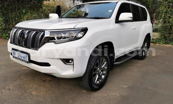 Tenga Tsaru Toyota Land Cruiser Prado Chena Mota in Livingstone in Zambia Tenga Tsaru Toyota Land Cruiser Prado Chena Mota in Livingstone in Zambia