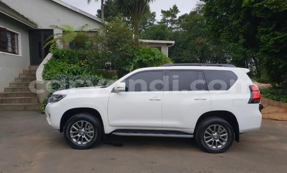 Tenga Tsaru Toyota Land Cruiser Prado Chena Mota in Livingstone in Zambia Tenga Tsaru Toyota Land Cruiser Prado Chena Mota in Livingstone in Zambia