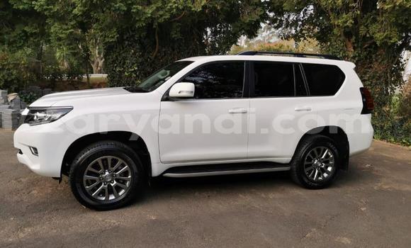 Tenga Tsaru Toyota Land Cruiser Prado Chena Mota in Livingstone in Zambia Tenga Tsaru Toyota Land Cruiser Prado Chena Mota in Livingstone in Zambia