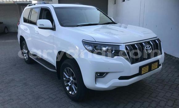 Tenga Tsaru Toyota Land Cruiser Prado Chena Mota in Ndola in Zambia Tenga Tsaru Toyota Land Cruiser Prado Chena Mota in Ndola in Zambia