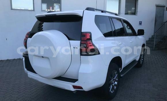 Buy Used Toyota Land Cruiser Prado White Car in Ndola in Zambia Buy Used Toyota Land Cruiser Prado White Car in Ndola in Zambia