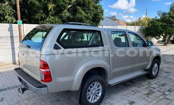 Tenga Tsaru Toyota Hilux Bhurawuni Mota in Livingstone in Zambia Tenga Tsaru Toyota Hilux Bhurawuni Mota in Livingstone in Zambia