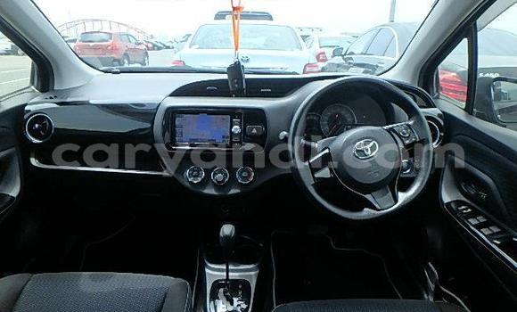 Buy Used Toyota Vitz Other Car in Chilanga in Lusaka Buy Used Toyota Vitz Other Car in Chilanga in Lusaka