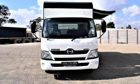 Buy Used Hino 300 Series Other Truck in Livingstone in Zambia